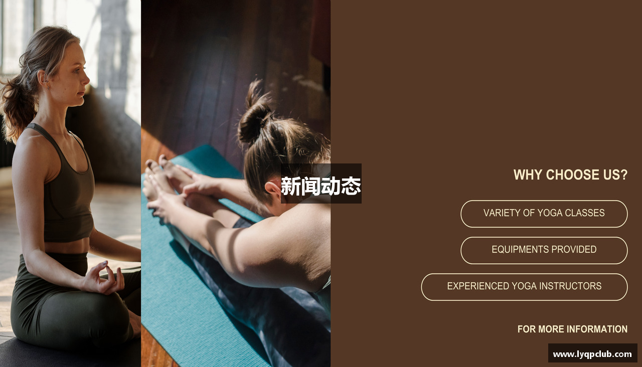 新闻动态